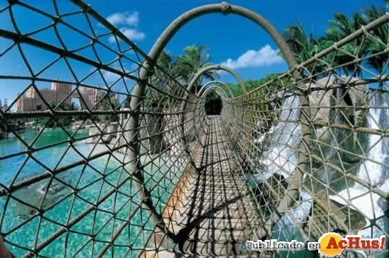 Rope Bridge