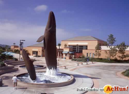 Birch Aquarium 07