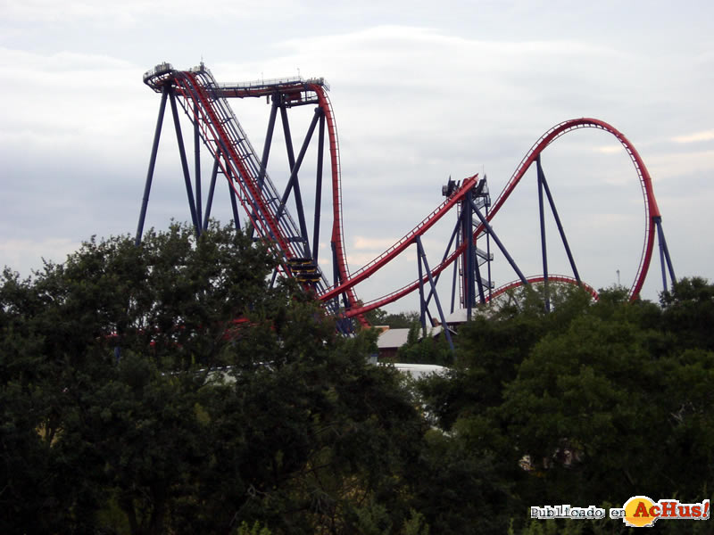 Sheikra 18