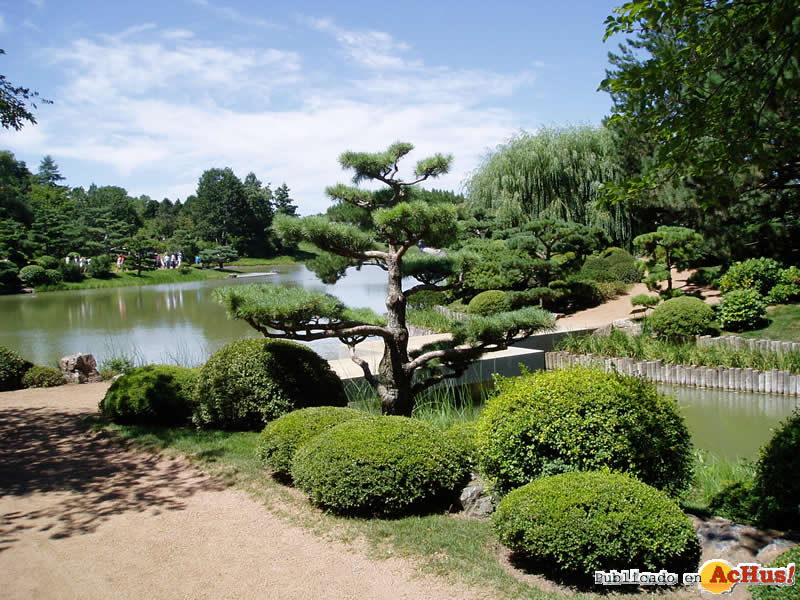 Chicago Botanic Garden 13