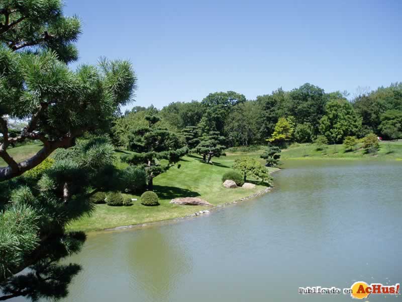 Chicago Botanic Garden 16