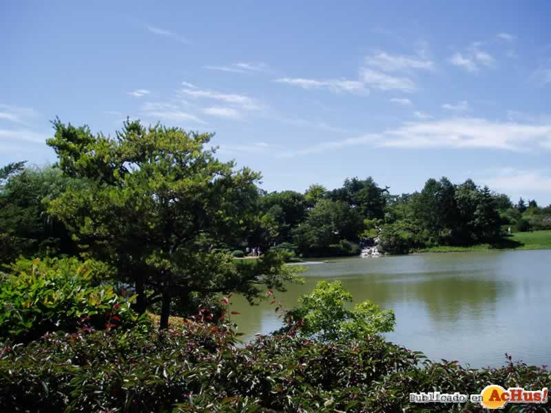 Chicago Botanic Garden 18