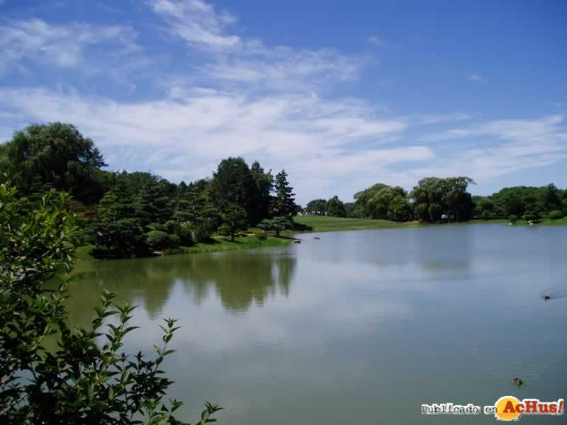 Chicago Botanic Garden 25