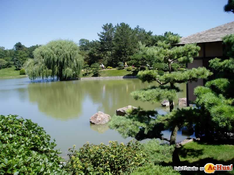 Chicago Botanic Garden 28