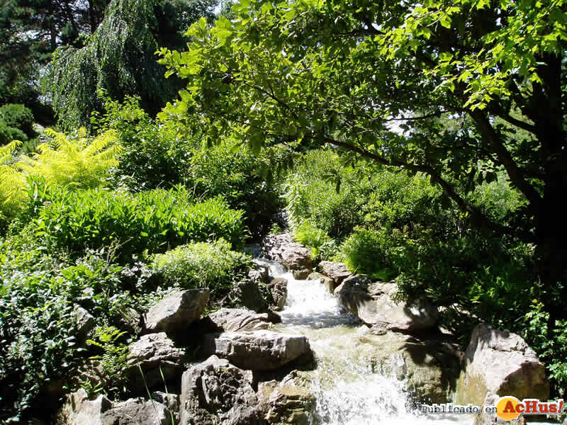 Chicago Botanic Garden 40