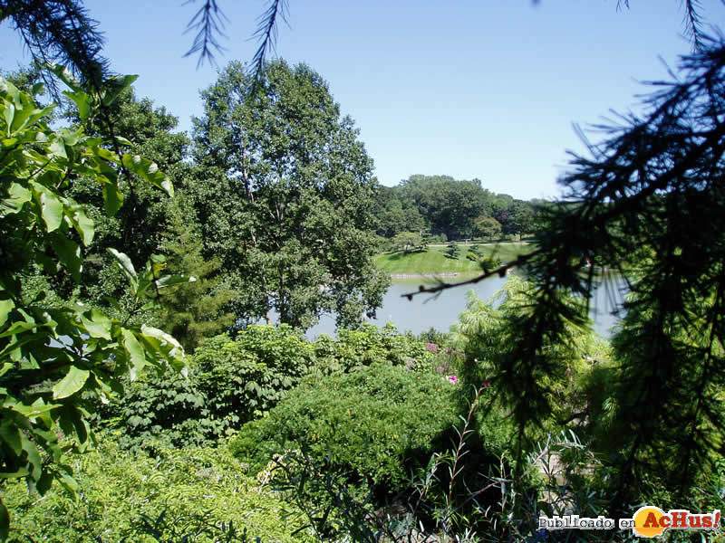 Chicago Botanic Garden 42