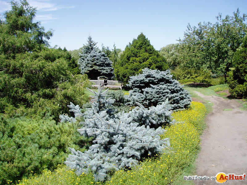 Chicago Botanic Garden 43