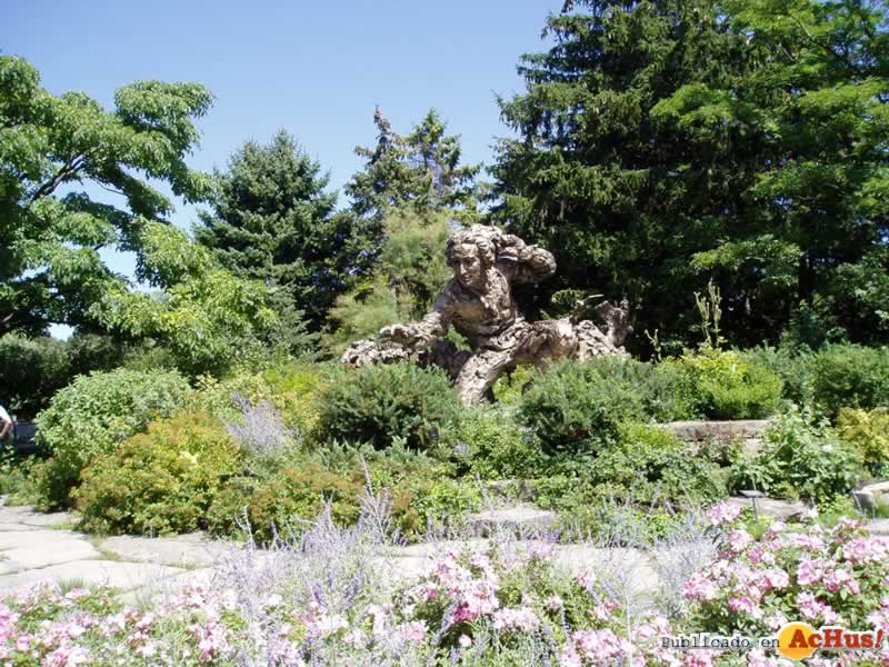 Chicago Botanic Garden 48