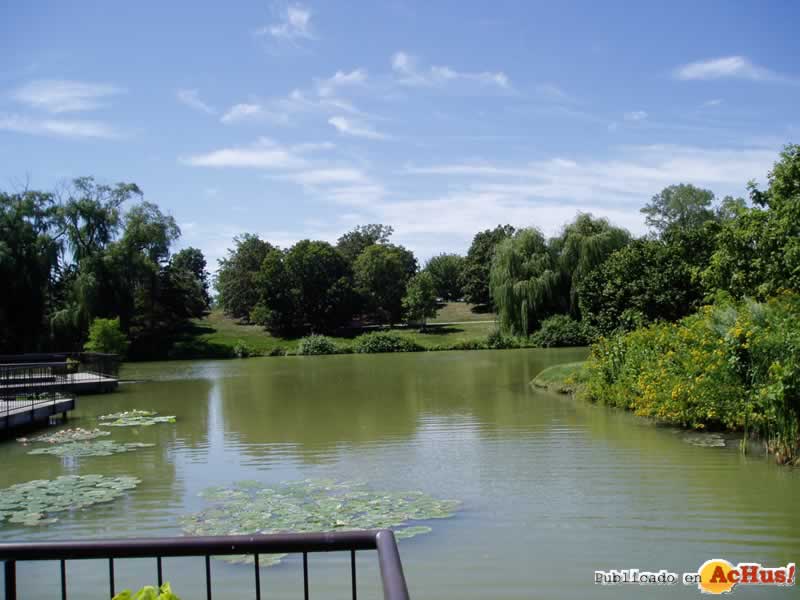 Chicago Botanic Garden 63