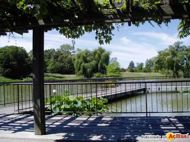 Chicago Botanic Garden 65