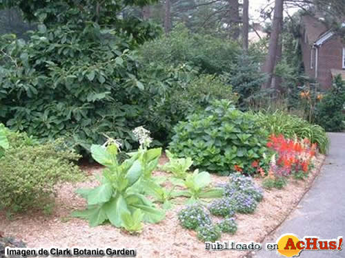 Clark Botanic Garden 02