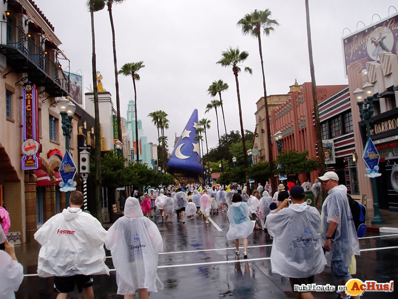 Disney Hollywood Studios 16