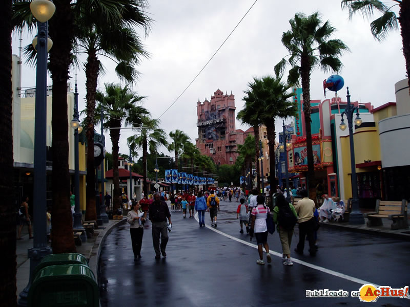 Disney Hollywood Studios 20