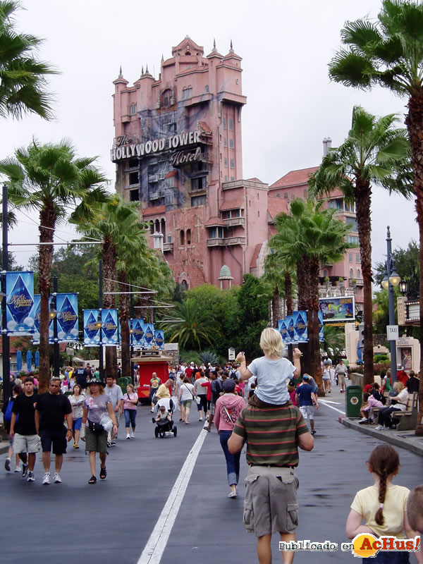 Disney Hollywood Studios 27