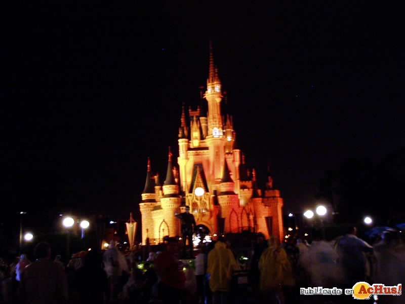 Magic Kingdom 117