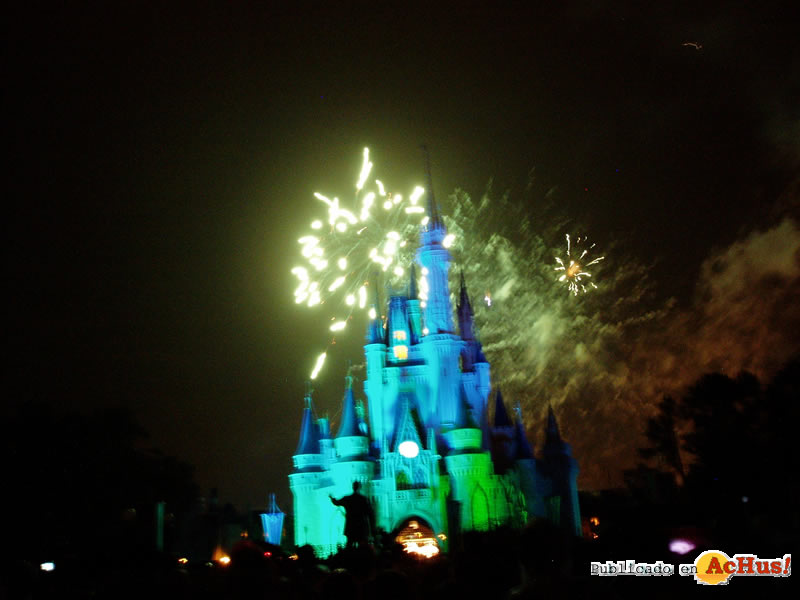 Magic Kingdom 118