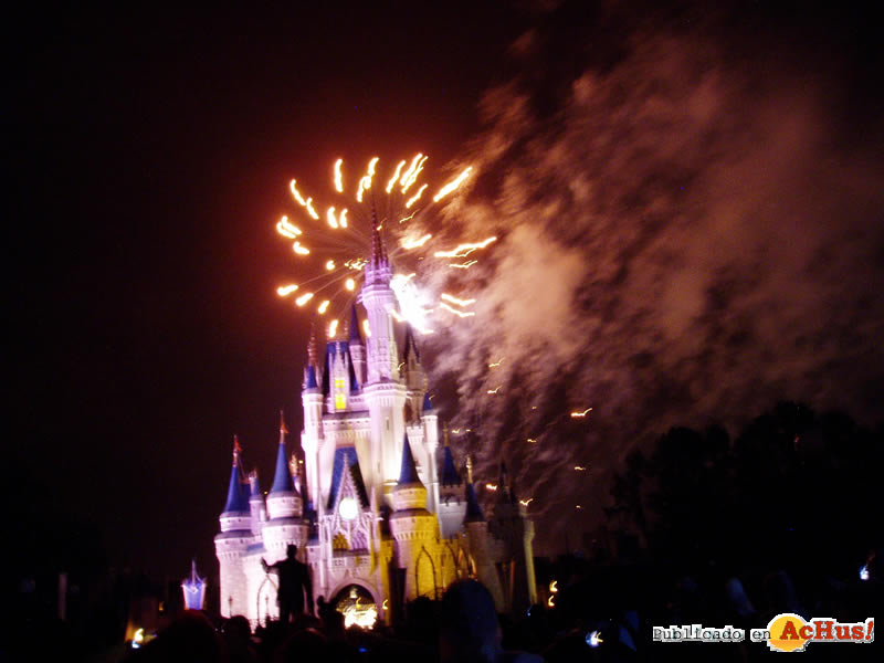 Magic Kingdom 120