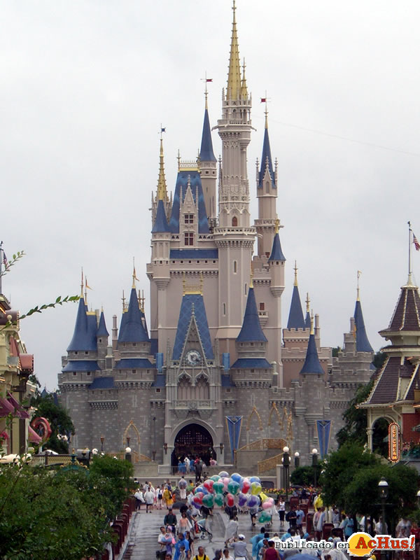 Magic Kingdom 13