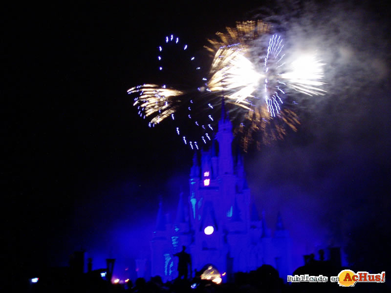 Magic Kingdom 131