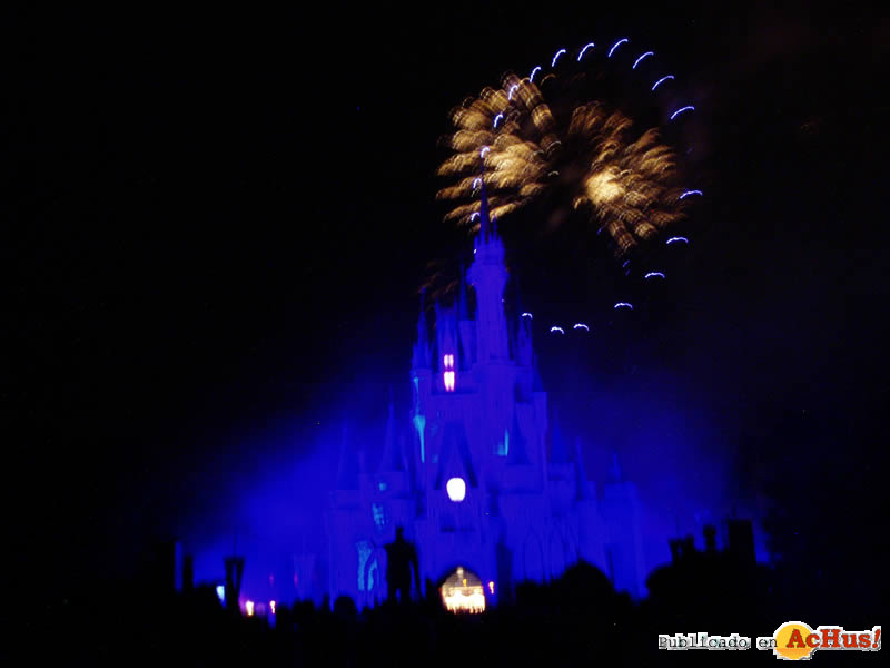 Magic Kingdom 132