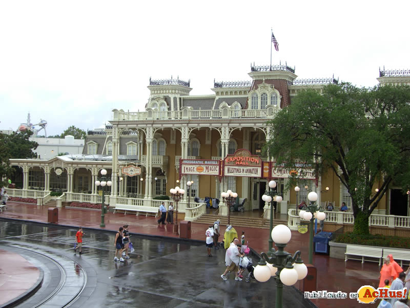 Magic Kingdom 15