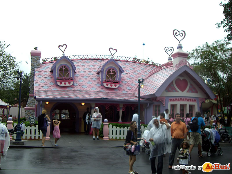 Magic Kingdom 27