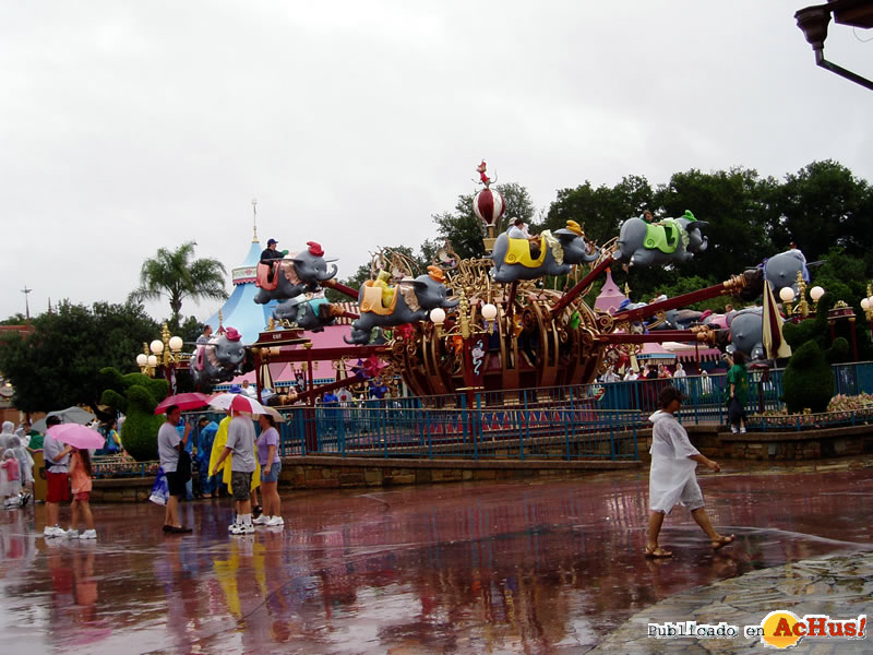 Magic Kingdom 60