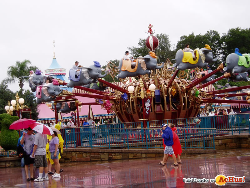 Magic Kingdom 61