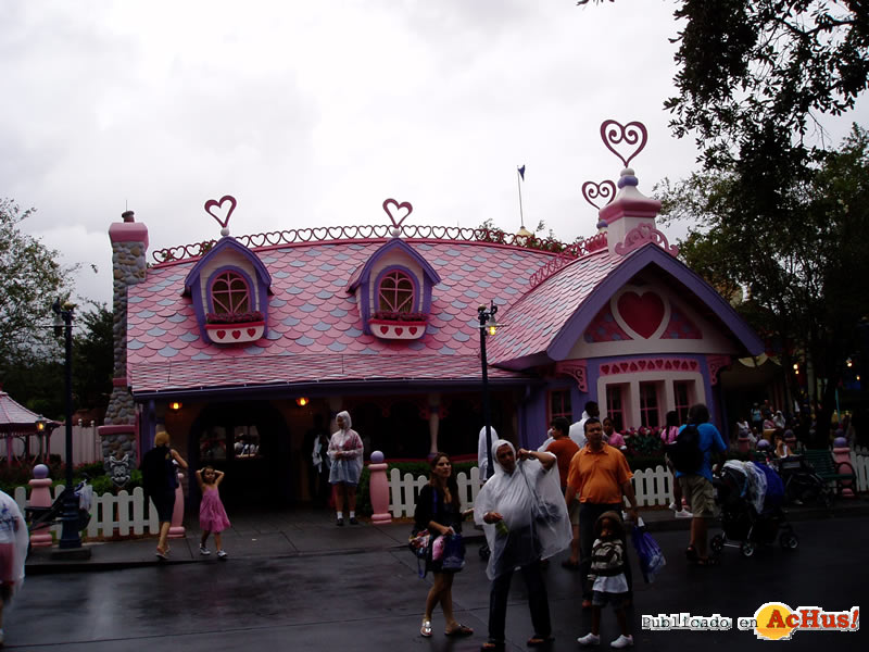 Magic Kingdom 82