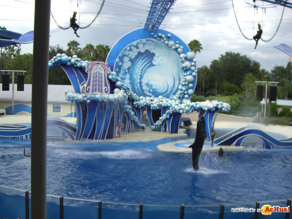 SeaWorld CIMG1687