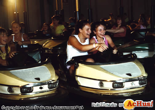 Bumper Cars