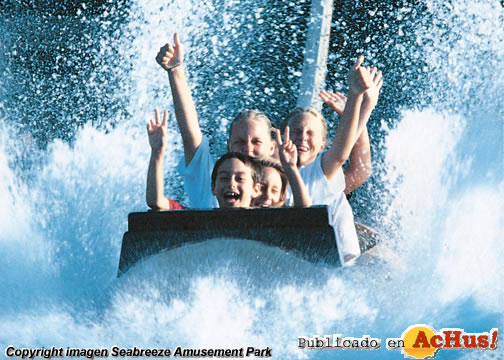 Log Flume