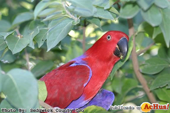 Sedgwick County Zoo 13