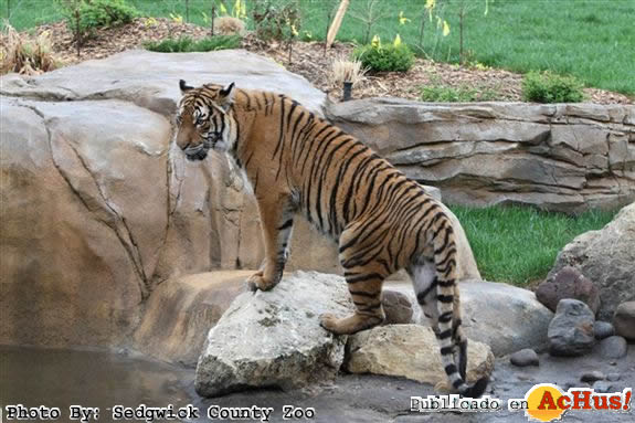 Sedgwick County Zoo 16