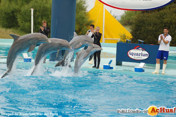 Show de Delfines