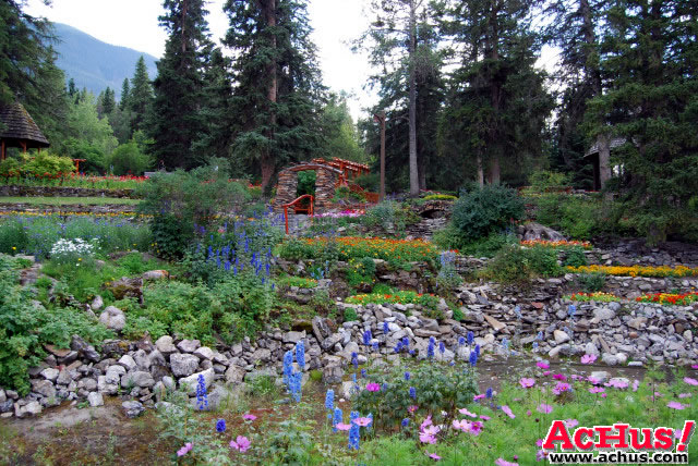 Cascades Garden 14