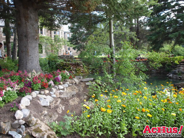 Cascades Garden 48