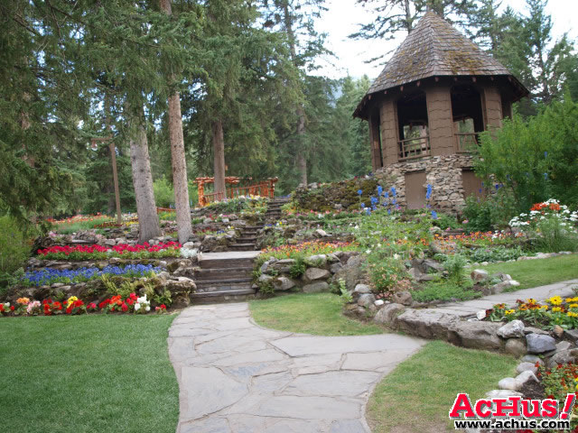 Cascades Garden 63