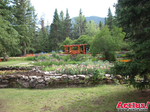 Cascades Garden 73