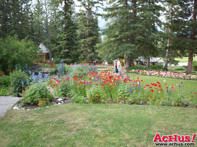 Cascades Garden 95