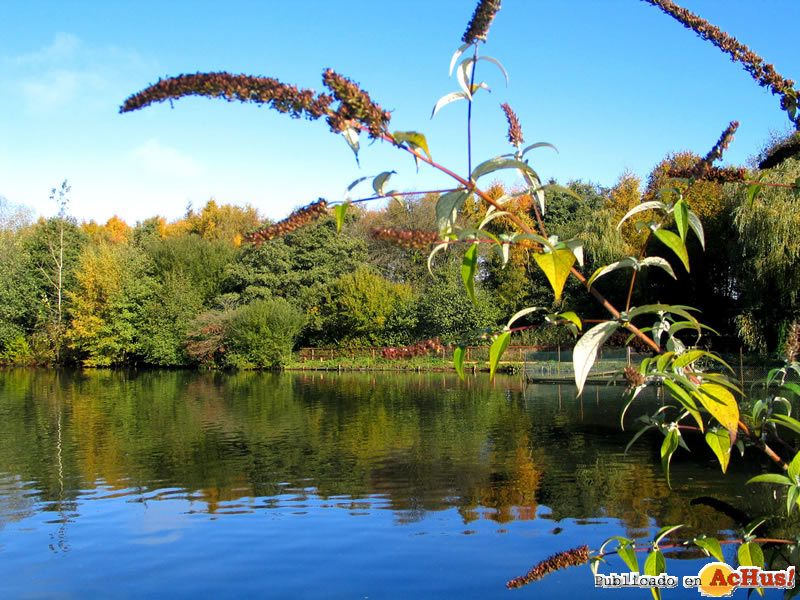 PaultonsParkLake