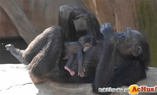 Zoo Fuengirola 09