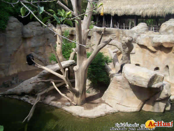 Zoo Fuengirola 41