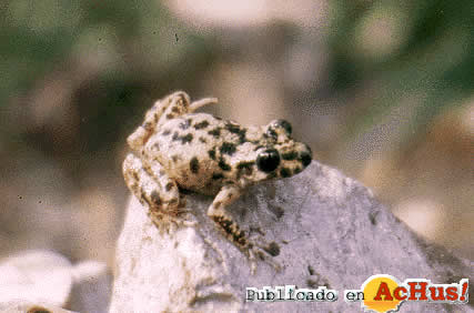 Zoo de Barcelona 10