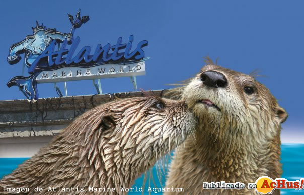 Atlantis Marine World Aquarium 01