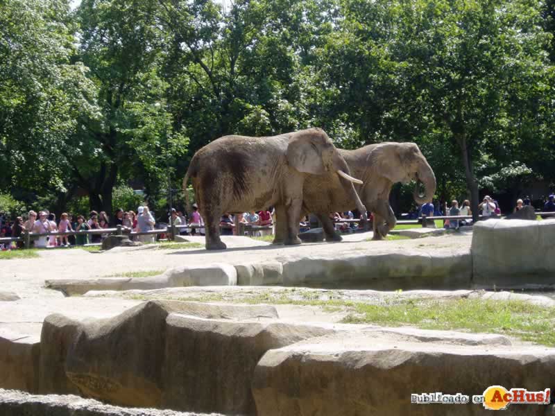 Brookfield Zoo 30