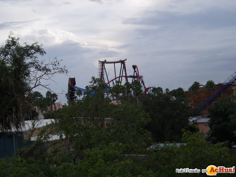 Busch Gardens Africa 14