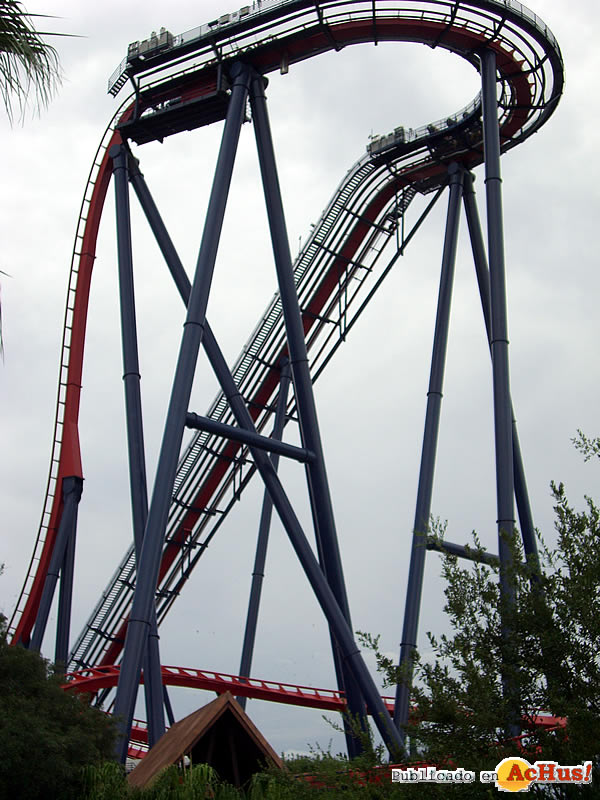 Sheikra 01