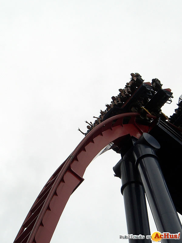 Sheikra 07