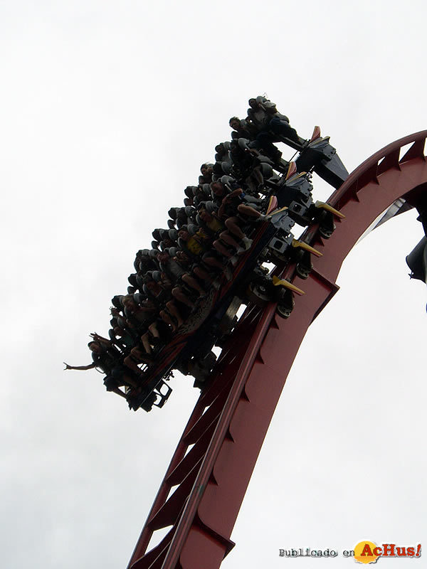 Sheikra 08